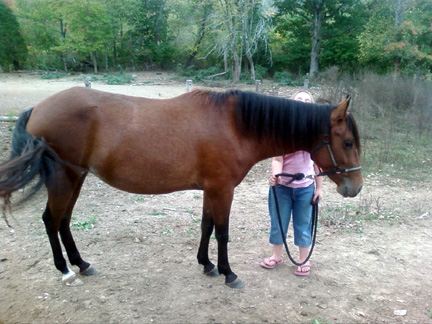 again Empresaria