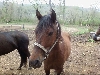 My Pretty Athena