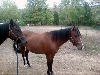 another of the sisters