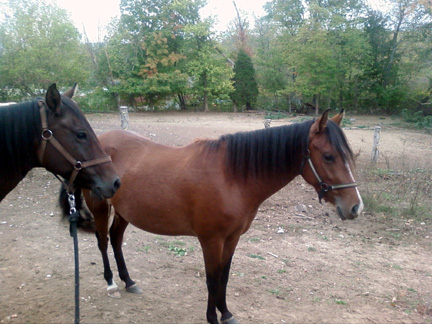 another of the sisters