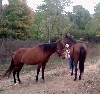 Sisters and Cassidy, loving each other