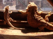Just Chillin