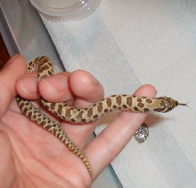 07B