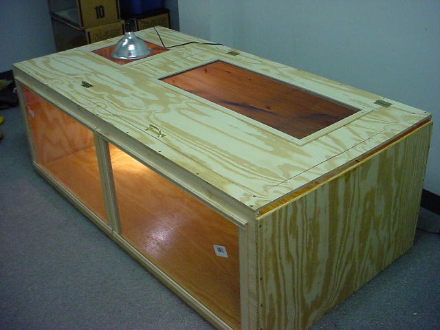 cage1