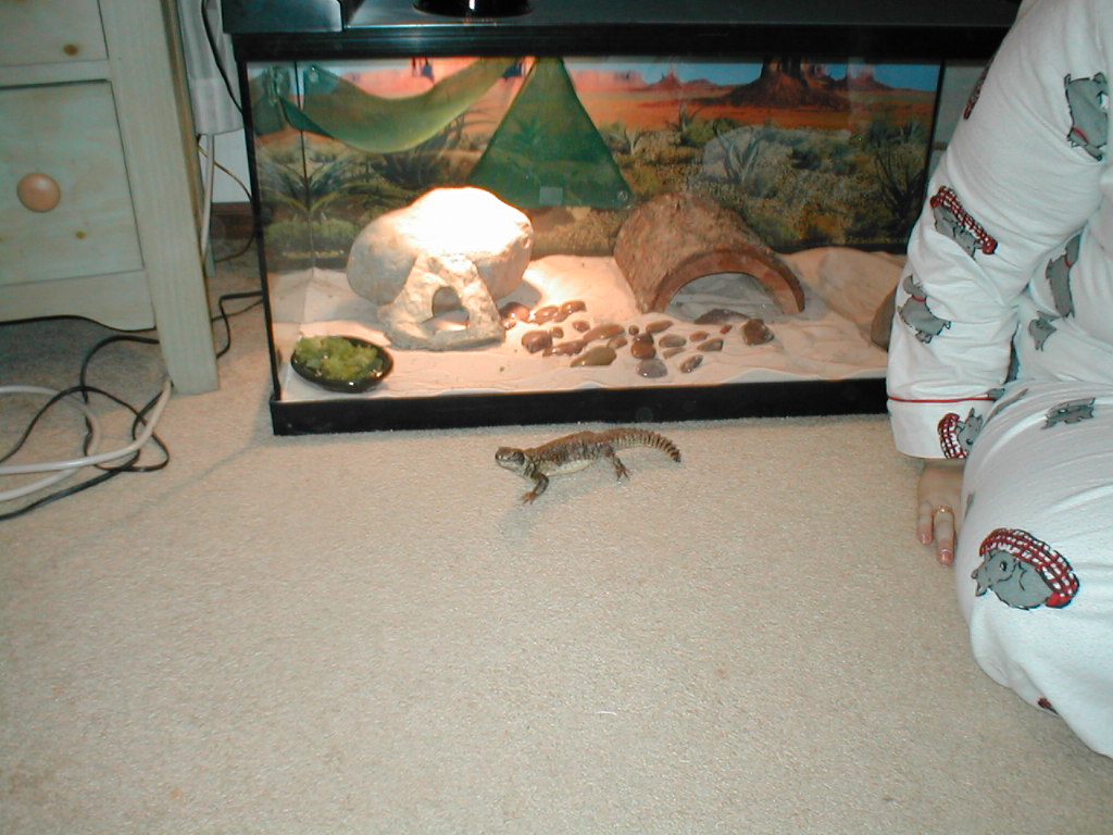 RaAmira and her Castle