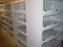 Cages 2