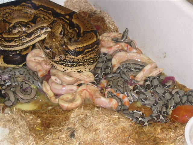 01 Mom and kids
