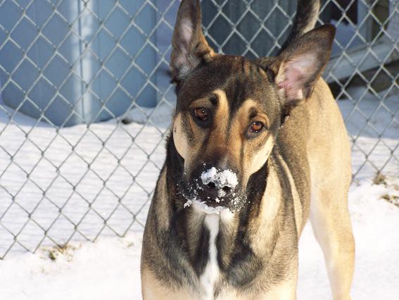 Fun In The Snow