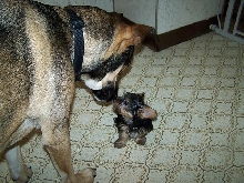 Best Friends