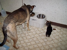 Dinner Time