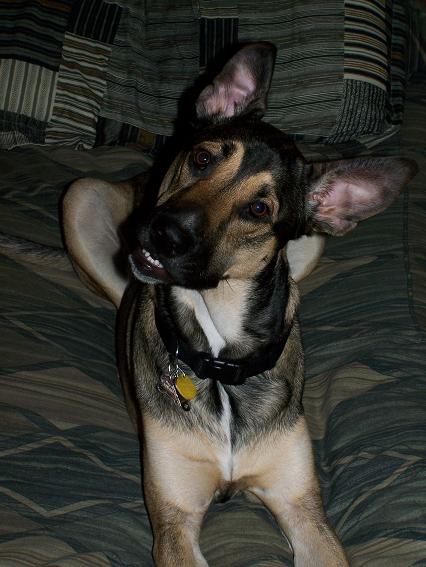 Head Tilt