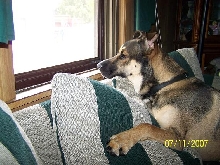 Waiting for the maillady