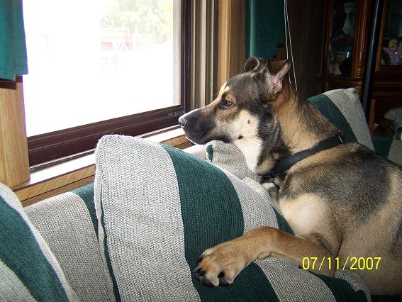 Waiting for the maillady