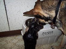 Sharing