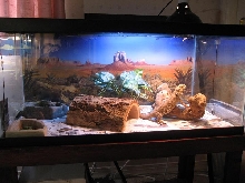 Pearl's Home