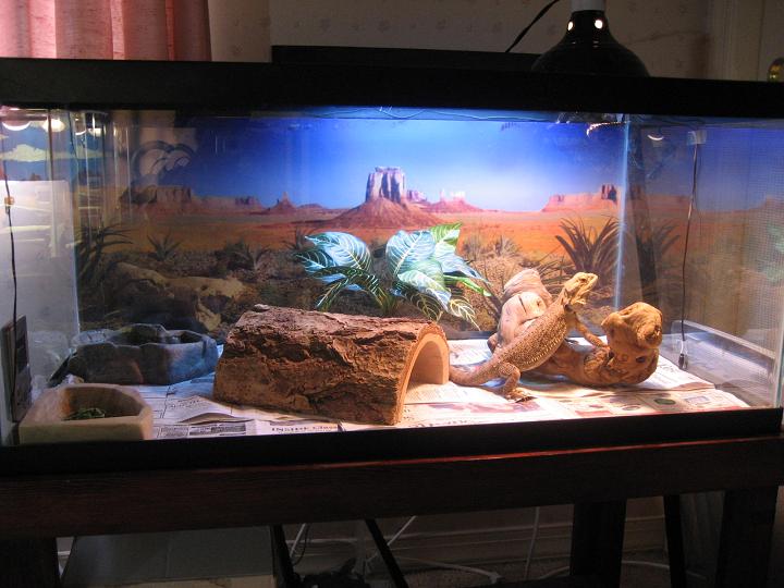 Pearl's Home