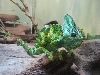 Zoo