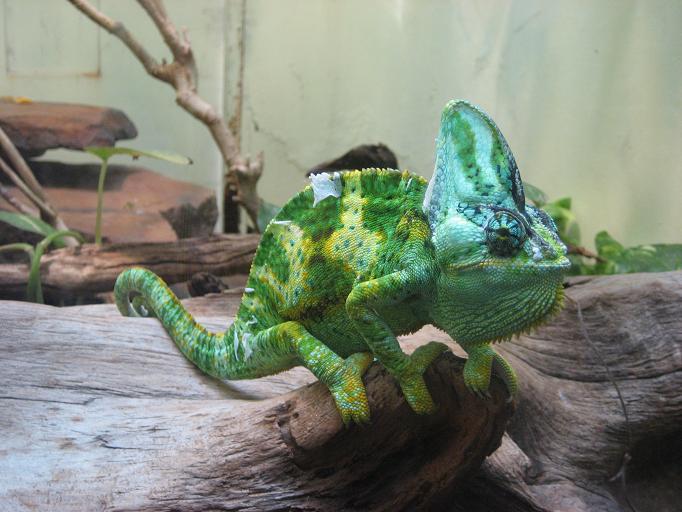 Zoo