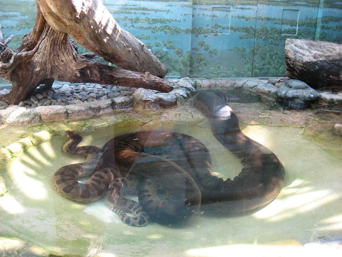 Zoo