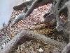 Zoo