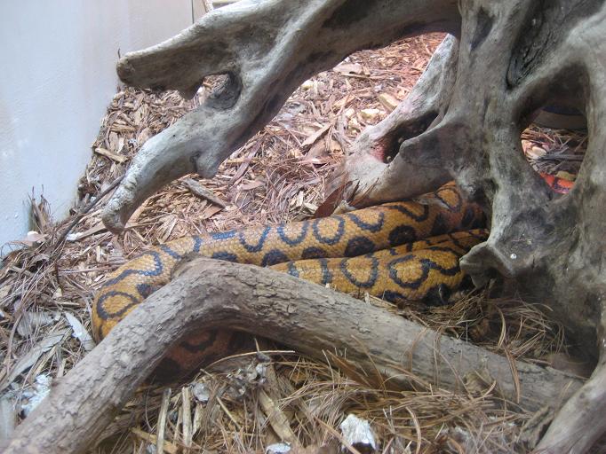 Zoo