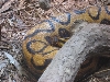 Zoo
