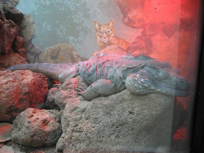 Zoo