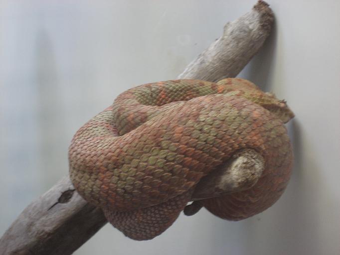 Zoo
