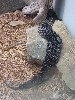 Zoo