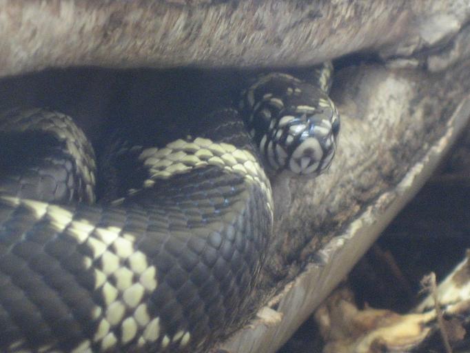 Zoo