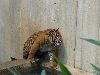 Zoo