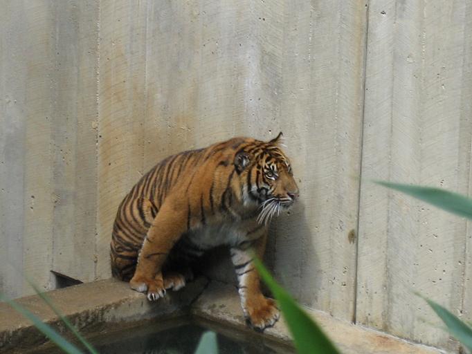 Zoo