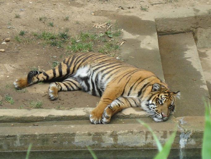 Zoo