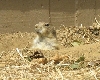 Zoo