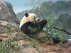 Zoo