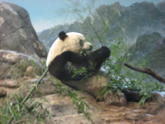 Zoo