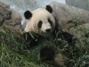 Zoo