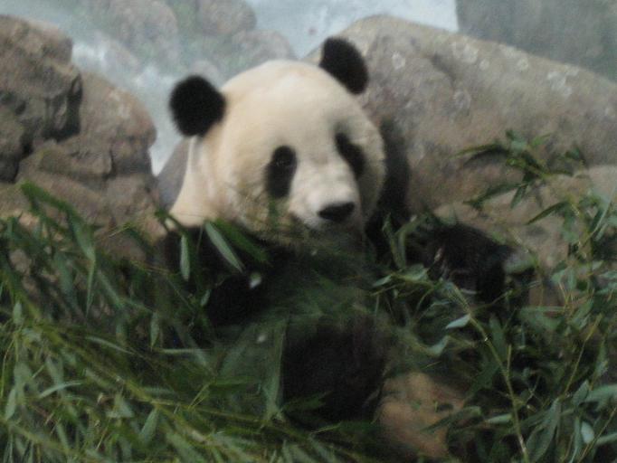 Zoo