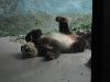 Zoo