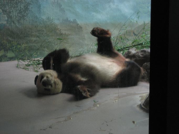 Zoo