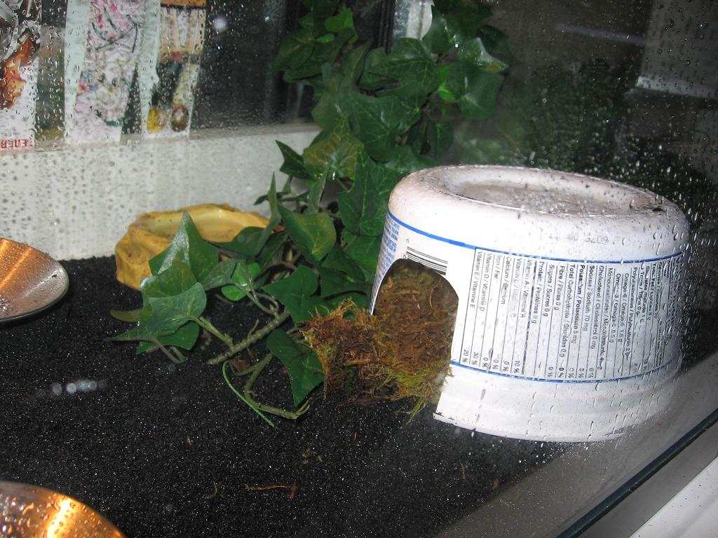 moist hide