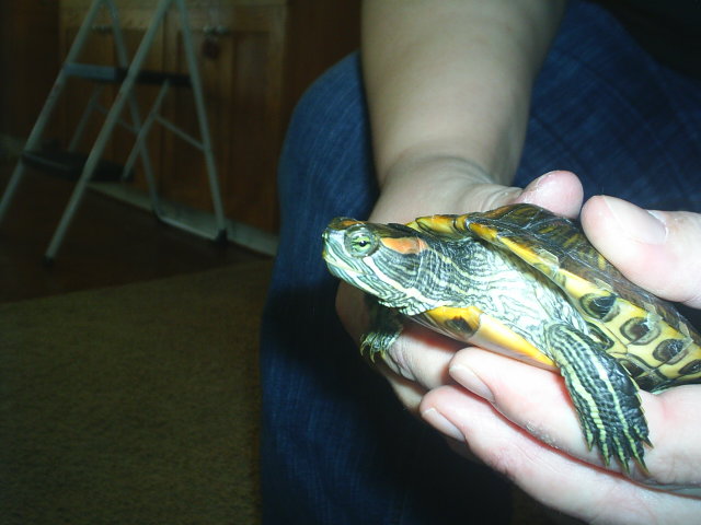 holding my girl