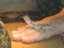 he hopped on me! Hurray!