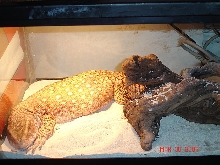 just loungin
