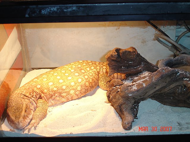 just loungin