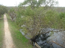 tower view