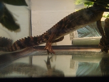 side view