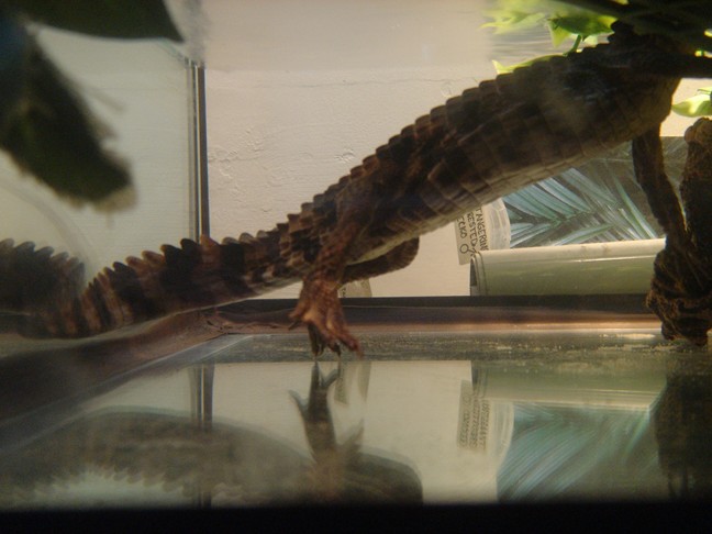 side view