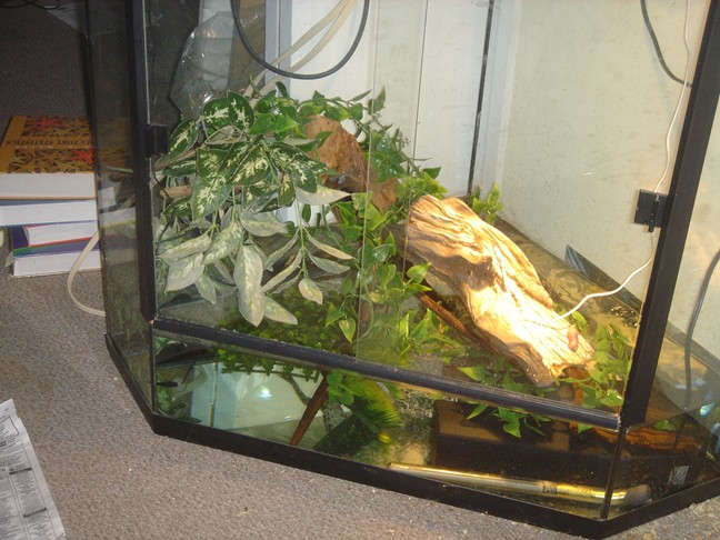 redesigned home