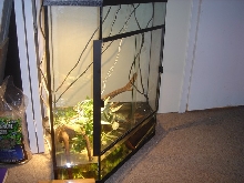 my castle